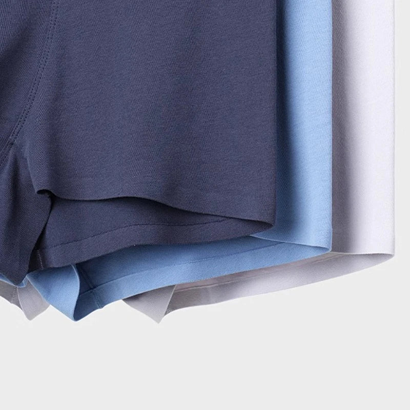 4Pcs Cotton Men's Panties