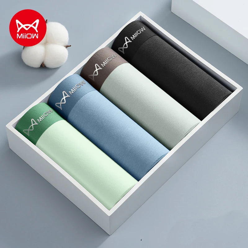 4Pcs Cotton Men's Panties