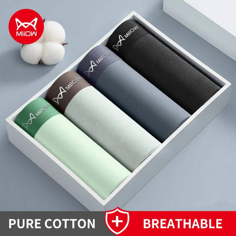 4Pcs Cotton Men's Panties