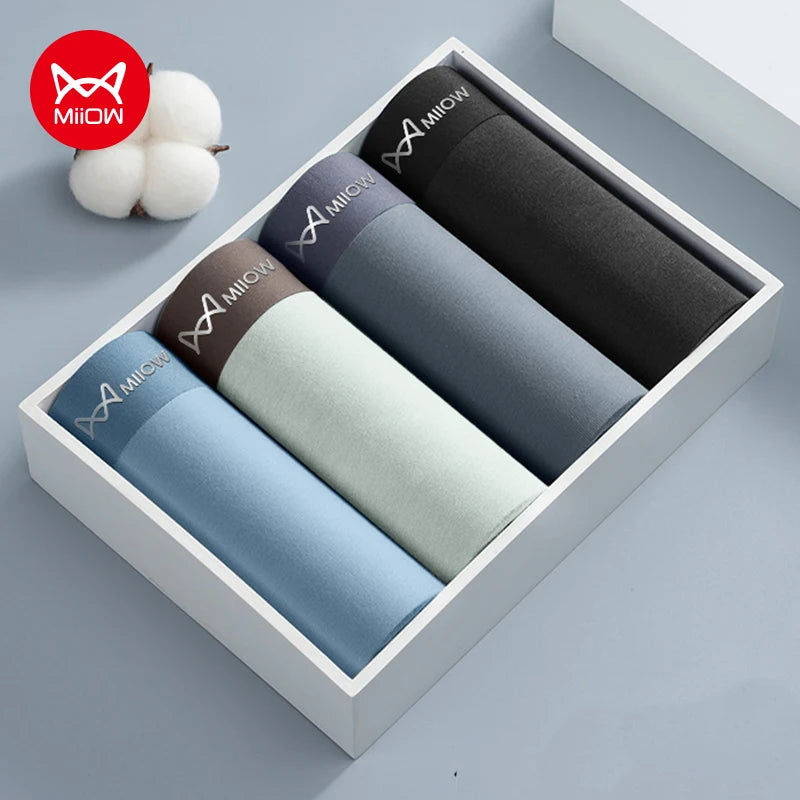 4Pcs Cotton Men's Panties