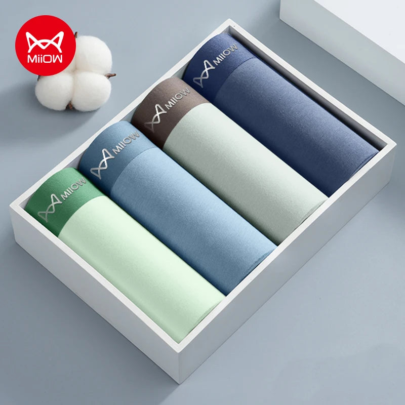 4Pcs Cotton Men's Panties