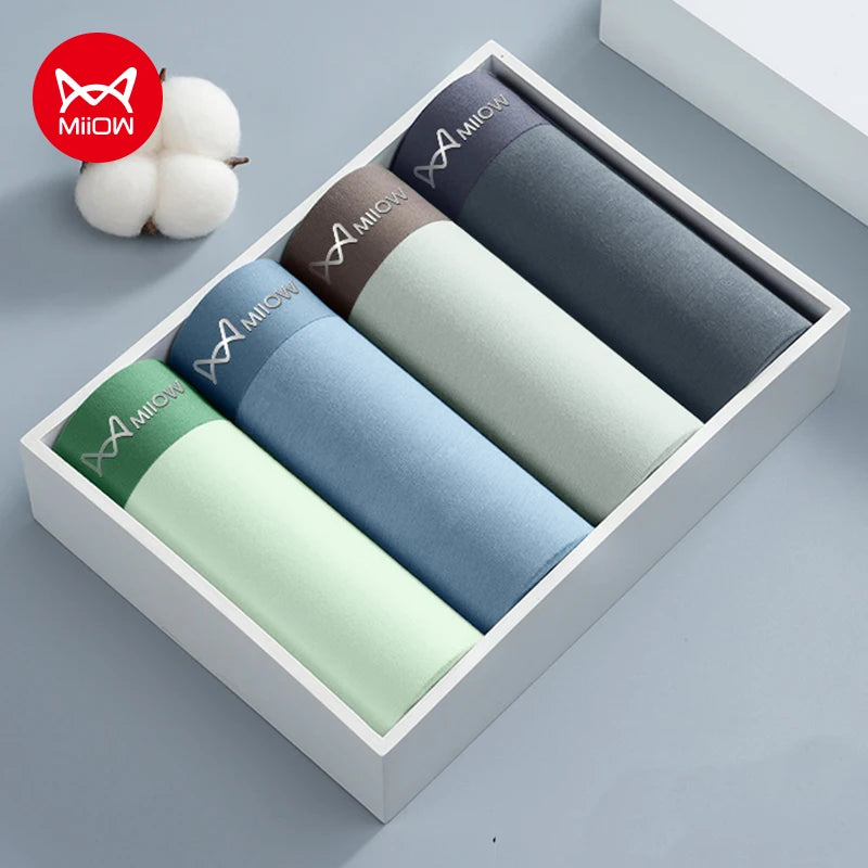 4Pcs Cotton Men's Panties