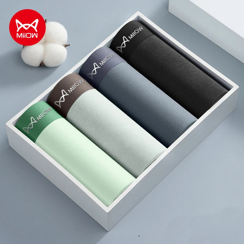4Pcs Cotton Men's Panties