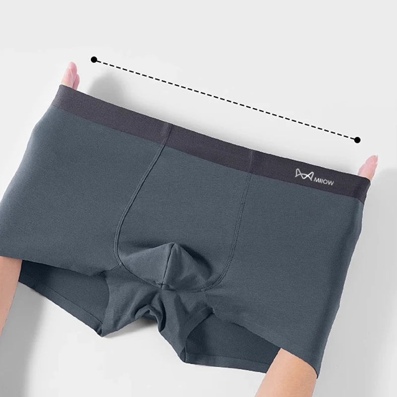4Pcs Cotton Men's Panties