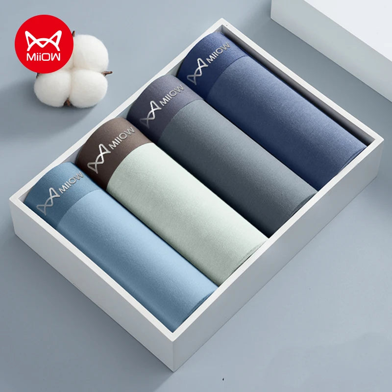 4Pcs Cotton Men's Panties