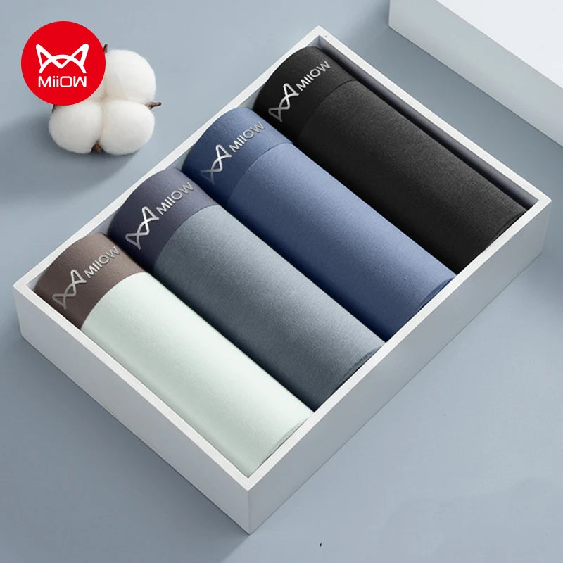 4Pcs Cotton Men's Panties